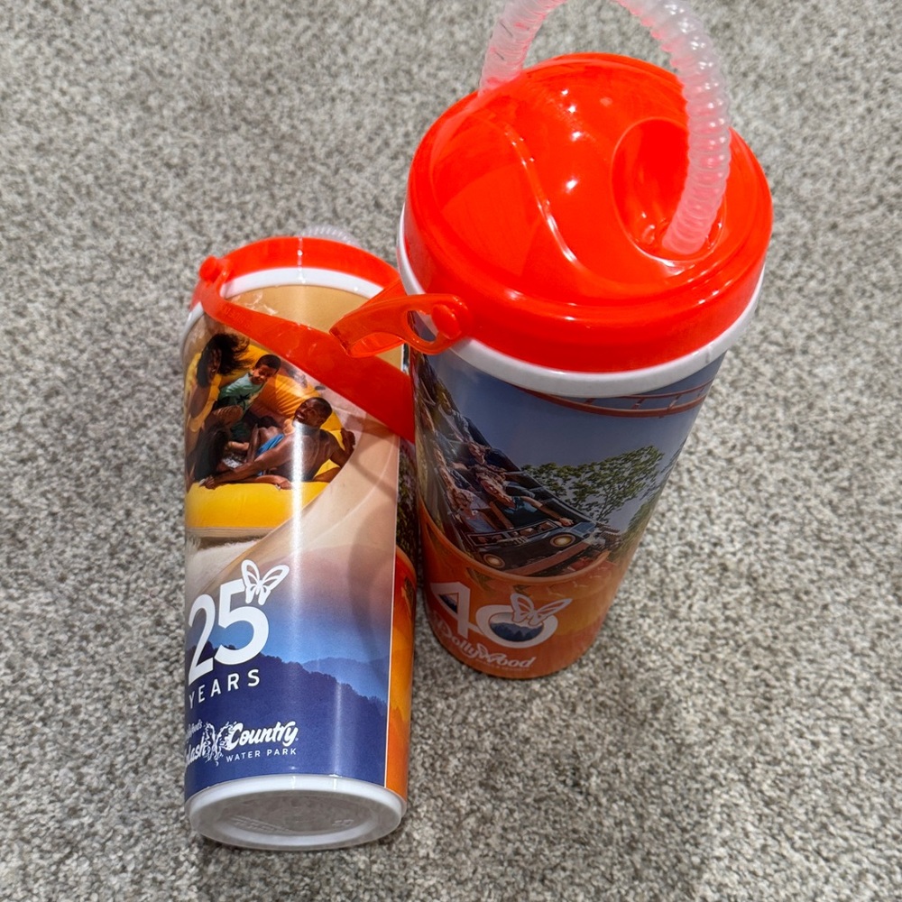 Dollywood 40 years Tumblers Set with Straws